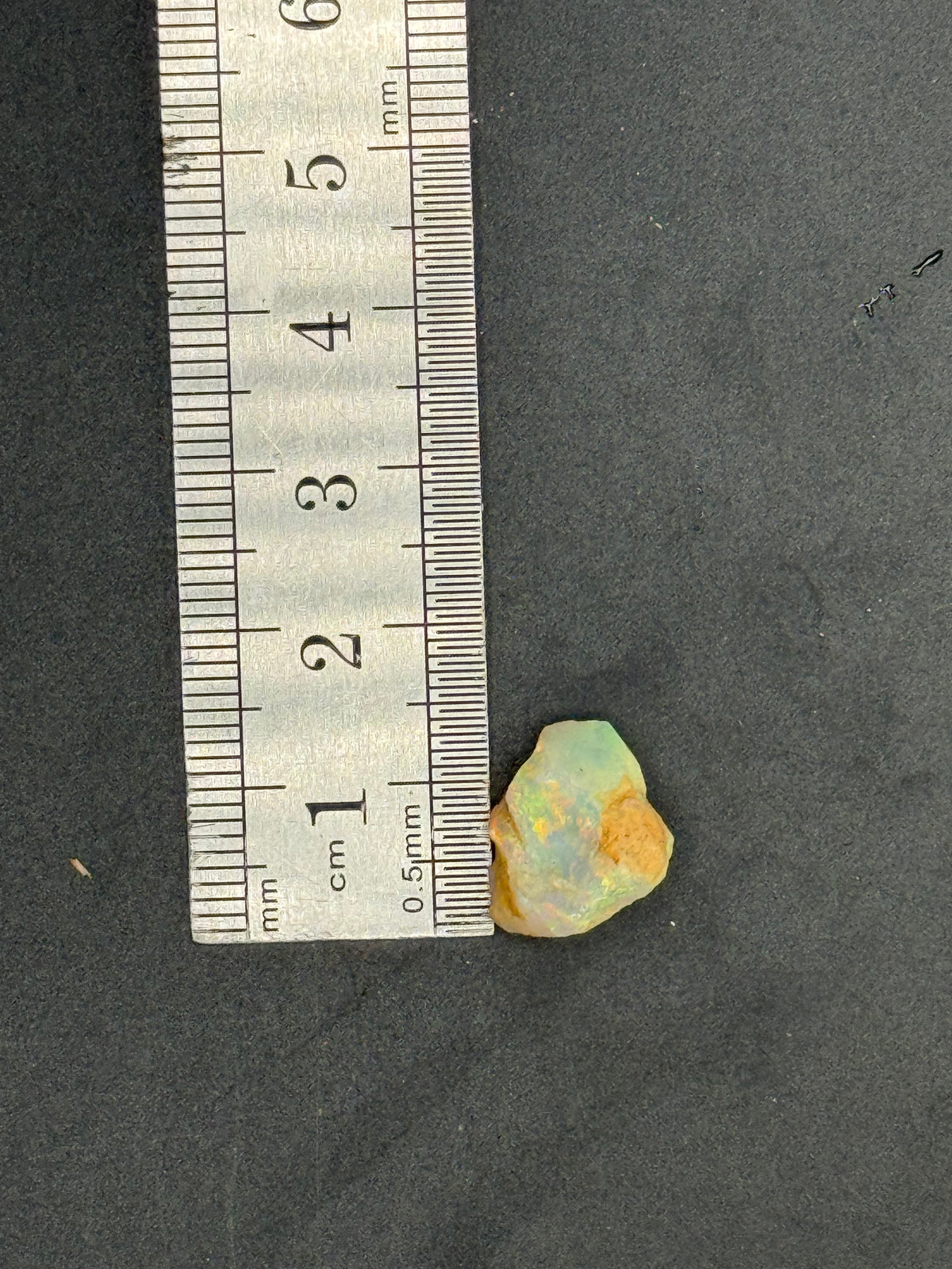 Stone #12